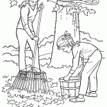 Limpeza de folhas caídas