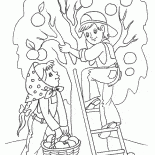 A colheita de primavera