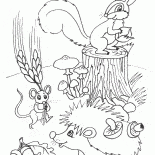 Os animais fazem estoques