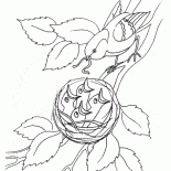 Os filhotes no ninho