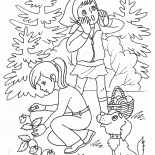 Crianças no verão na floresta
