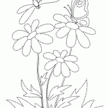 Borboleta em uma flor