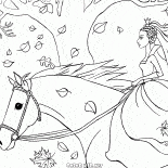 ANDAR A CAVALO