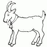 Cabra - um símbolo do ano