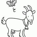 Cabra com um sino em volta do pescoço