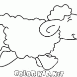 Ovelhas em movimento