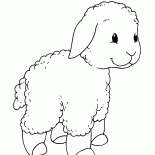 Cordeiro pequeno em uma caminhada