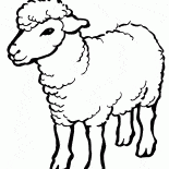 Símbolo 2015