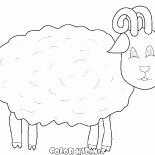 Sheep Meadow