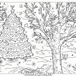 Paisagem do inverno