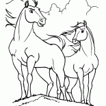 Spirit Horse