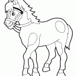 Cavalo anda