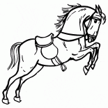 Cavalo no circo