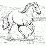 Cavalo em um brinquedo de pau um brinquedo velho uma imagem para colorir  para crianças