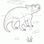Protoceratops