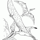 Pteranodon e um pterodáctilo