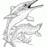 Ichthyosaur e plesiossauro