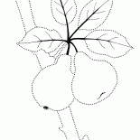 Doce fruto na árvore