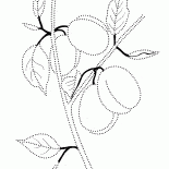 Ameixas em uma filial