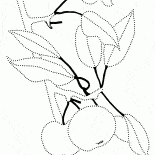 A Apple galho de árvore