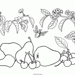 Pêra e cereja