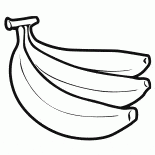 O óleo de palma frutas