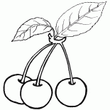 Cerejas