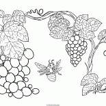 Parreira