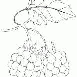 Bagas de artesanato