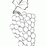 Cacho de uvas