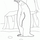 Pinguim no Ártico