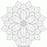 Floco de neve incomum