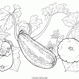 Definir alguns legumes