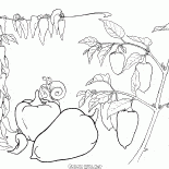 Pimenta búlgara