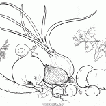 Vegetais do jardim