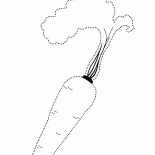 Cenoura