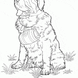 Dog St. Bernard