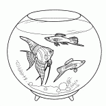 Aquário de peixes