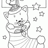 Sonhos se tornam realidade