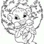 Simba e Ano Novo