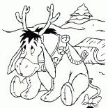 Donkey Bisonho inverno