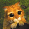 Gato das Botas