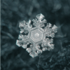Flocos de neve